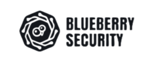 Blueberry Security – Expert-led cybersecurity partner of AMSL delivering real detection and response solutions for mid-sized enterprises